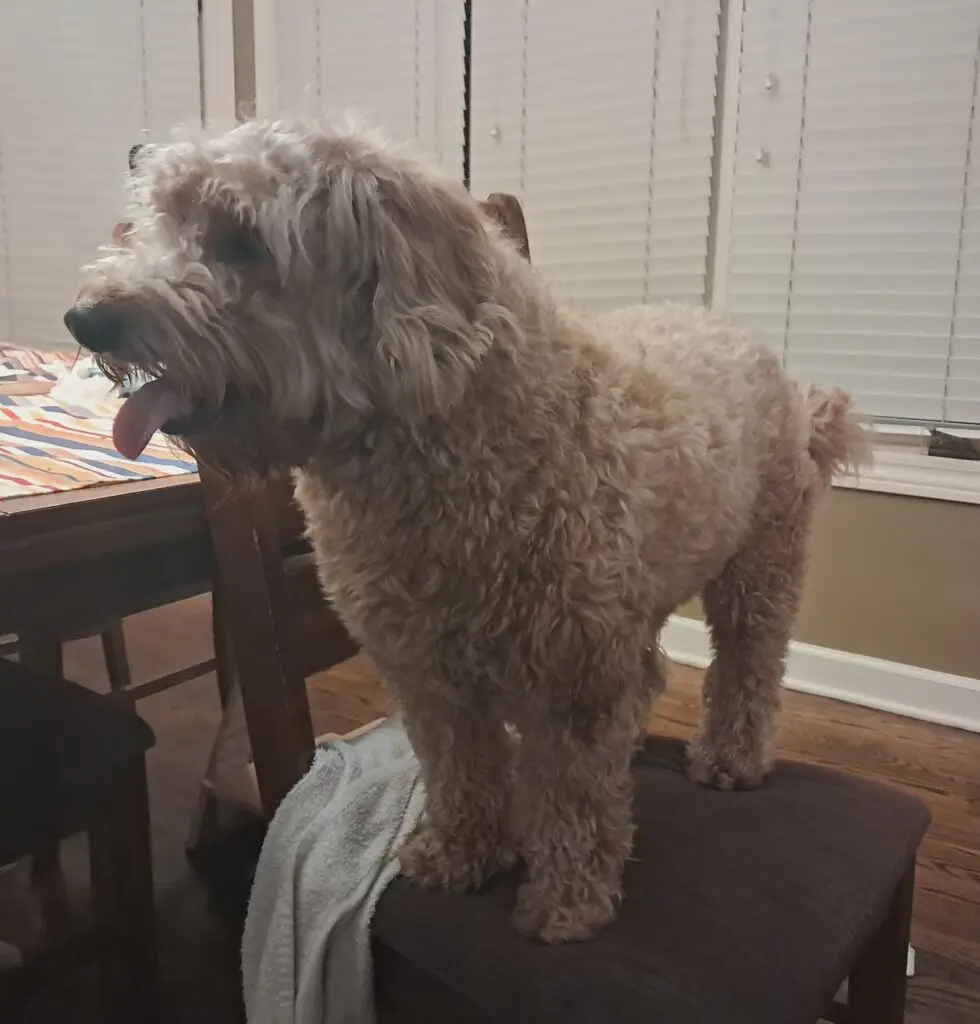 Cody ★☆☆☆☆ cody looking dumb